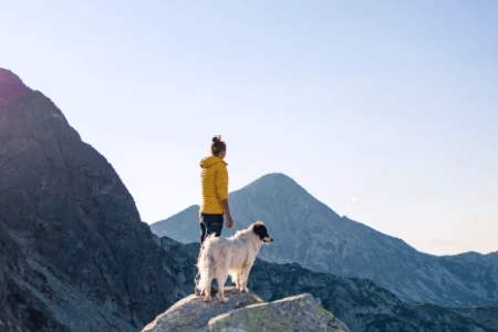 How Far Do Travel Nurses Travel 1 450x300