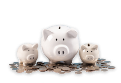 Three piggy banks on a pile of coins symbolizing financial savings.